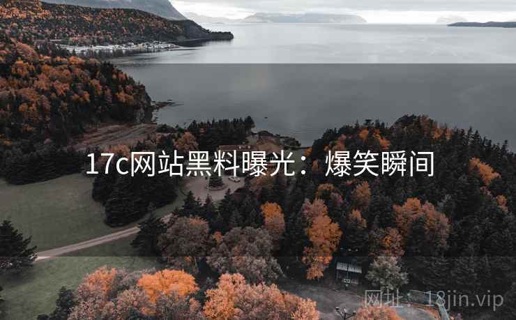 17c网站黑料曝光：爆笑瞬间