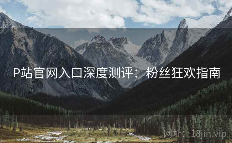 P站官网入口深度测评：粉丝狂欢指南