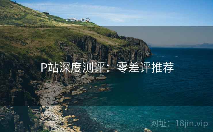 P站深度测评：零差评推荐