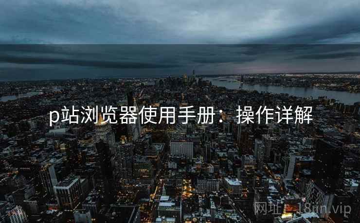 p站浏览器使用手册：操作详解