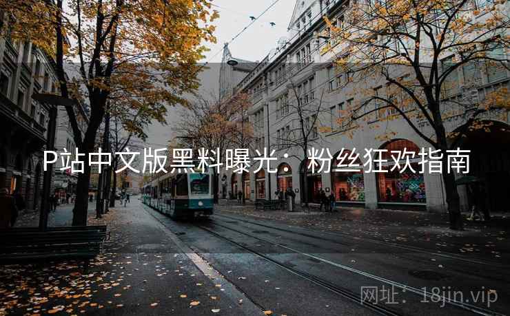 P站中文版黑料曝光：粉丝狂欢指南