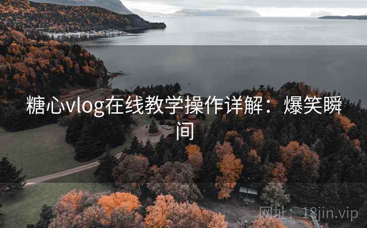 糖心vlog在线教学操作详解：爆笑瞬间