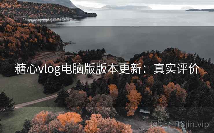 糖心vlog电脑版版本更新：真实评价